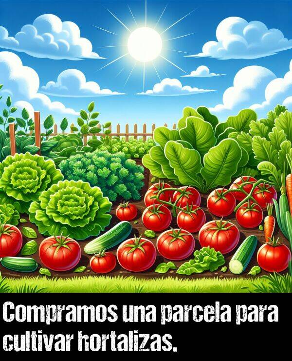 hortalizas: Compramos una parcela para cultivar hortalizas.