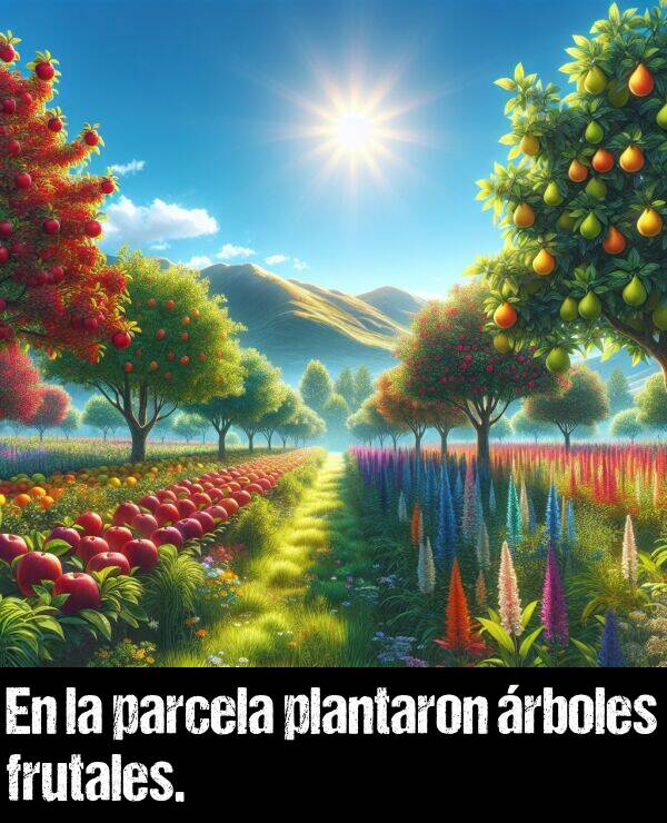 plantaron: En la parcela plantaron rboles frutales.