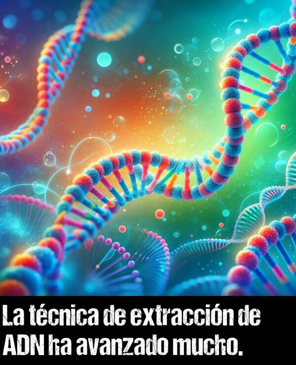 extraccin: La tcnica de extraccin de ADN ha avanzado mucho.