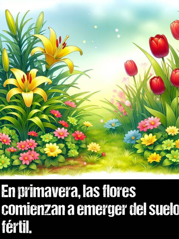 frtil: En primavera, las flores comienzan a emerger del suelo frtil.