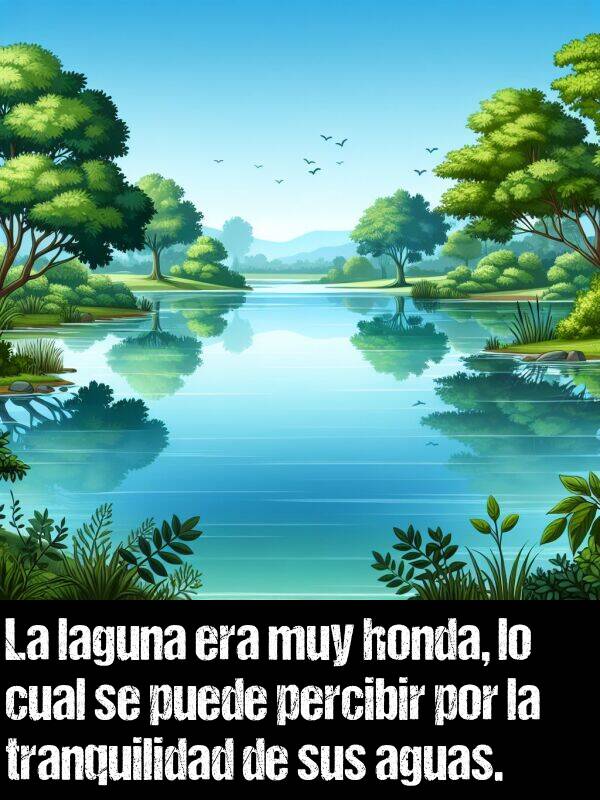 percibir: La laguna era muy honda, lo cual se puede percibir por la tranquilidad de sus aguas.