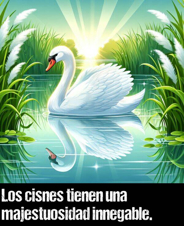 innegable: Los cisnes tienen una majestuosidad innegable.