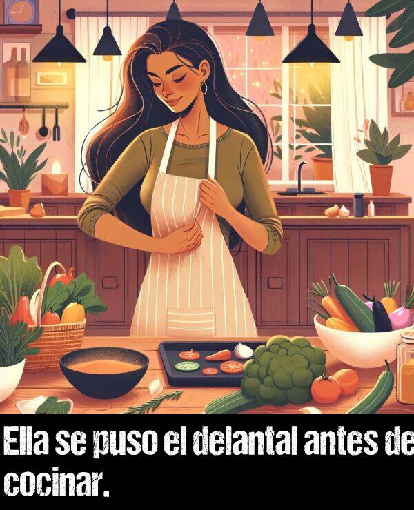 delantal: Ella se puso el delantal antes de cocinar.