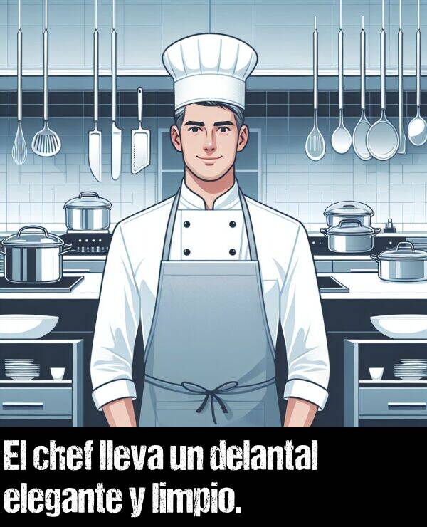 limpio: El chef lleva un delantal elegante y limpio.