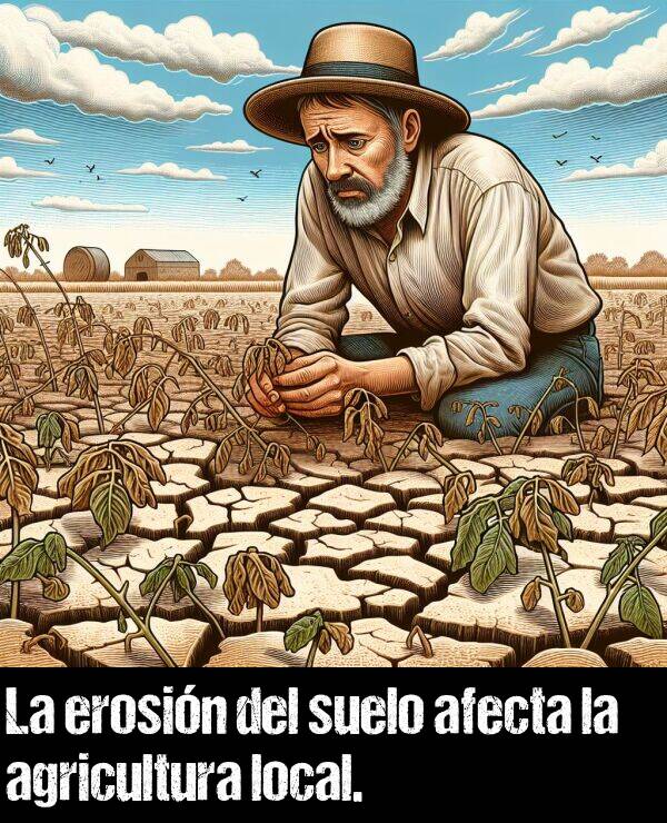 afecta: La erosin del suelo afecta la agricultura local.