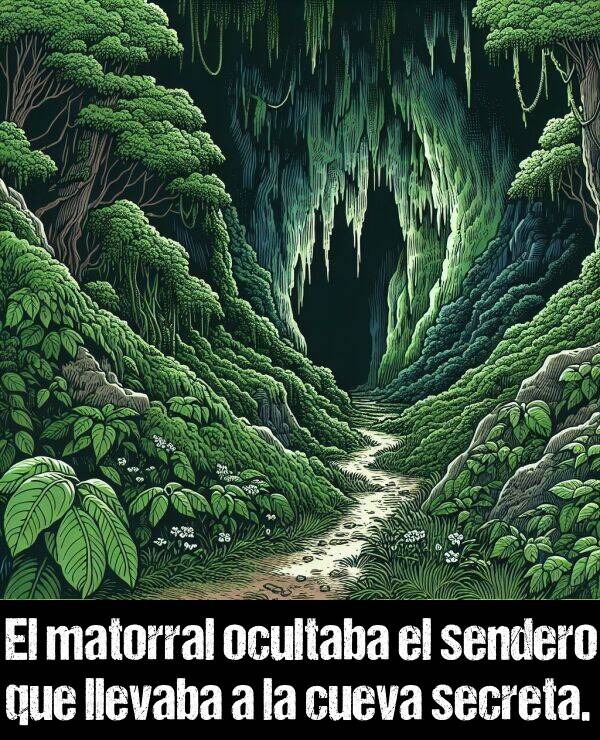 secreta: El matorral ocultaba el sendero que llevaba a la cueva secreta.