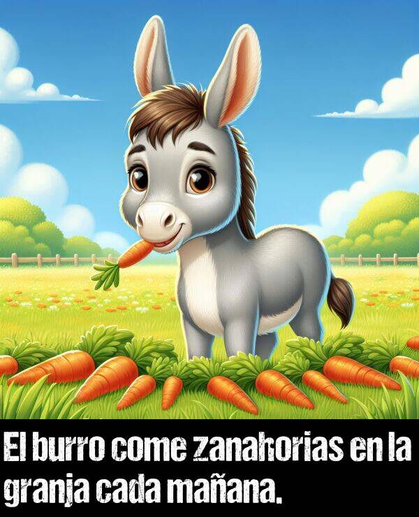 granja: El burro come zanahorias en la granja cada maana.