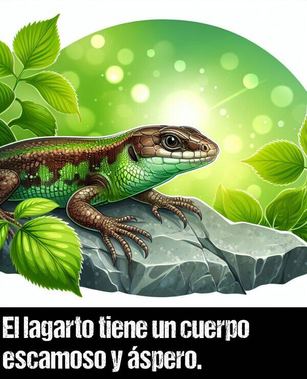 lagarto: El lagarto tiene un cuerpo escamoso y spero.