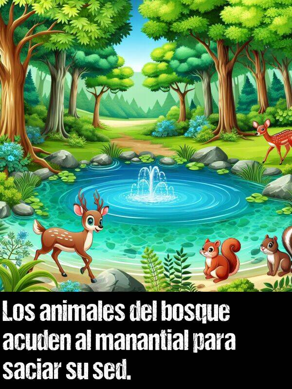 saciar: Los animales del bosque acuden al manantial para saciar su sed.