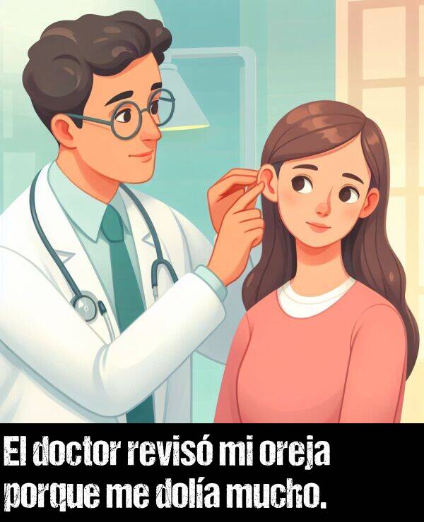 revis: El doctor revis mi oreja porque me dola mucho.