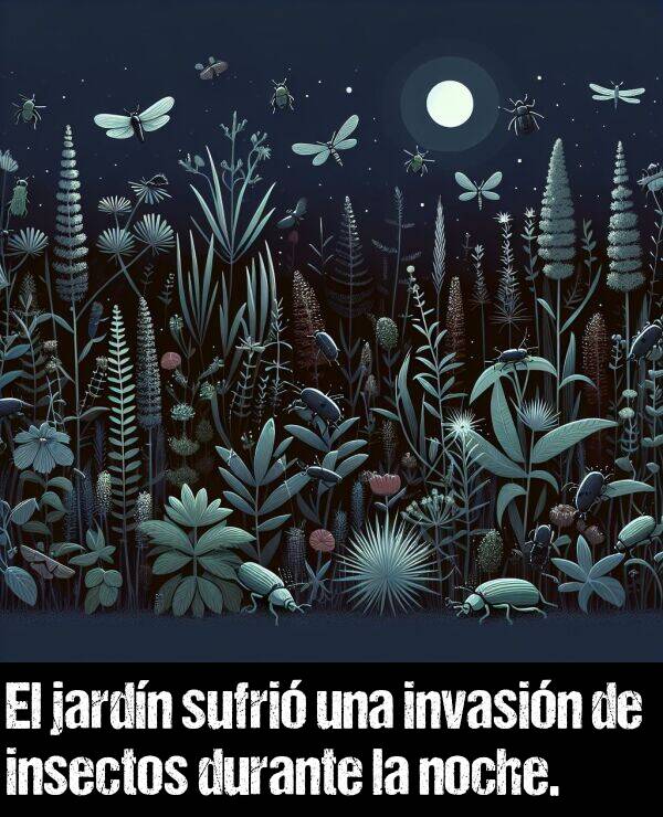 invasin: El jardn sufri una invasin de insectos durante la noche.