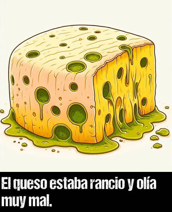 oler: El queso estaba rancio y ola muy mal.