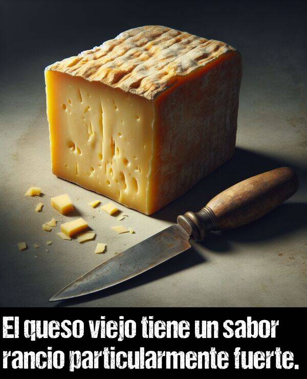 particularmente: El queso viejo tiene un sabor rancio particularmente fuerte.