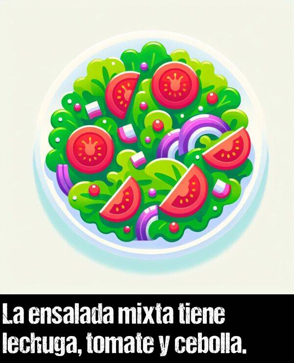 cebolla: La ensalada mixta tiene lechuga, tomate y cebolla.