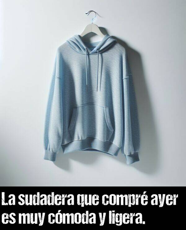 sudadera: La sudadera que compr ayer es muy cmoda y ligera.