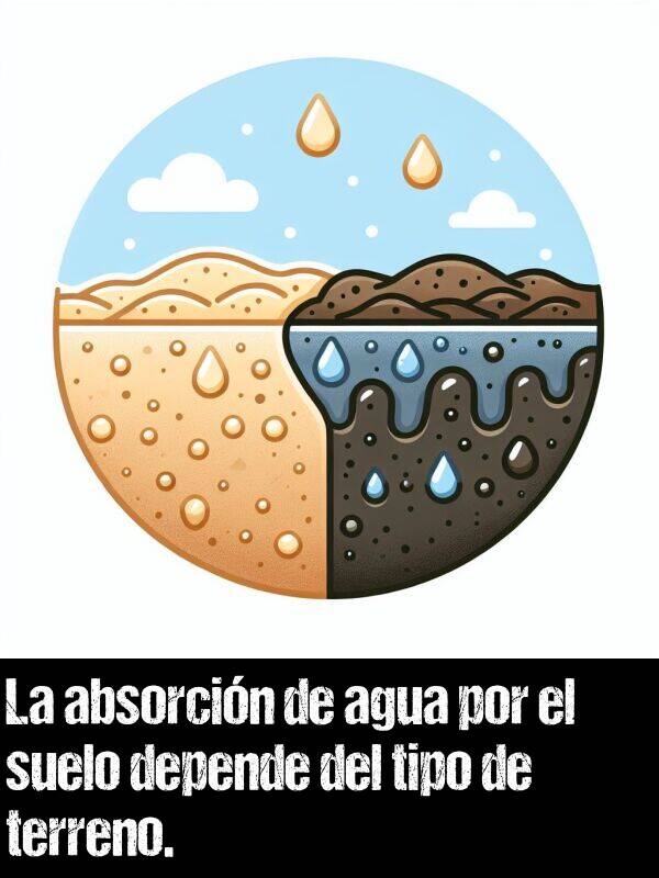 depende: La absorcin de agua por el suelo depende del tipo de terreno.