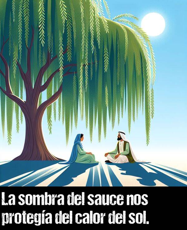 sauce: La sombra del sauce nos protega del calor del sol.