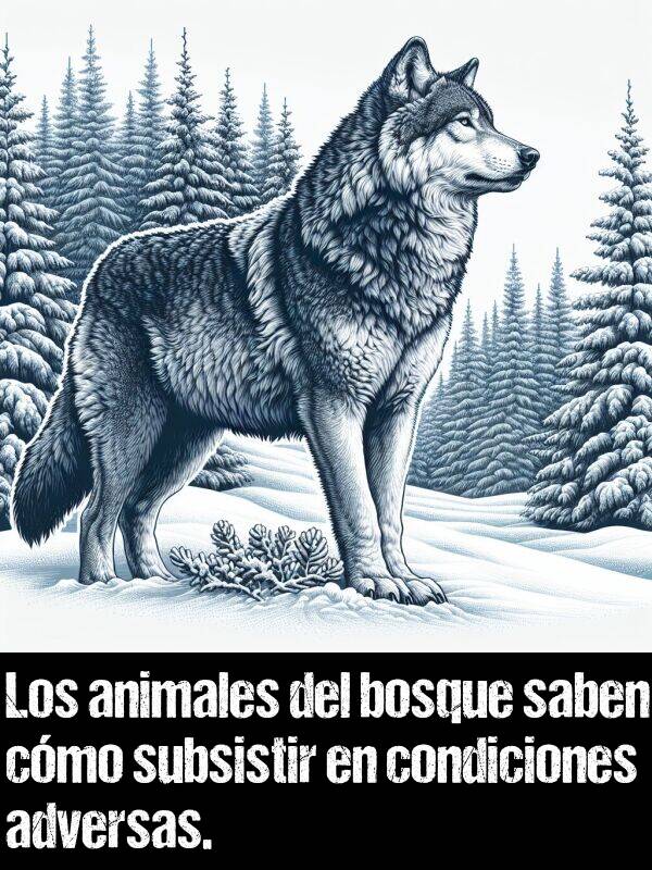 cmo: Los animales del bosque saben cmo subsistir en condiciones adversas.