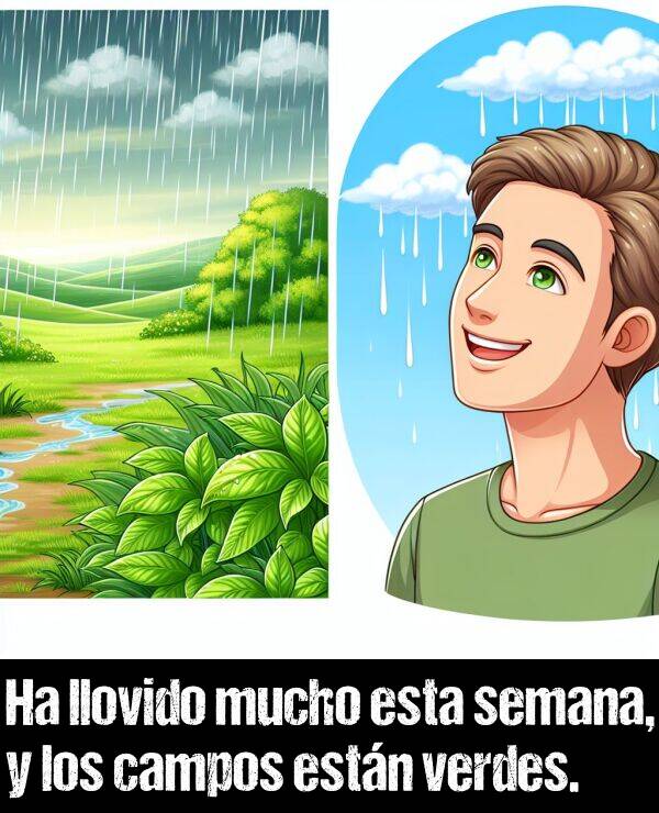 semana: Ha llovido mucho esta semana, y los campos estn verdes.