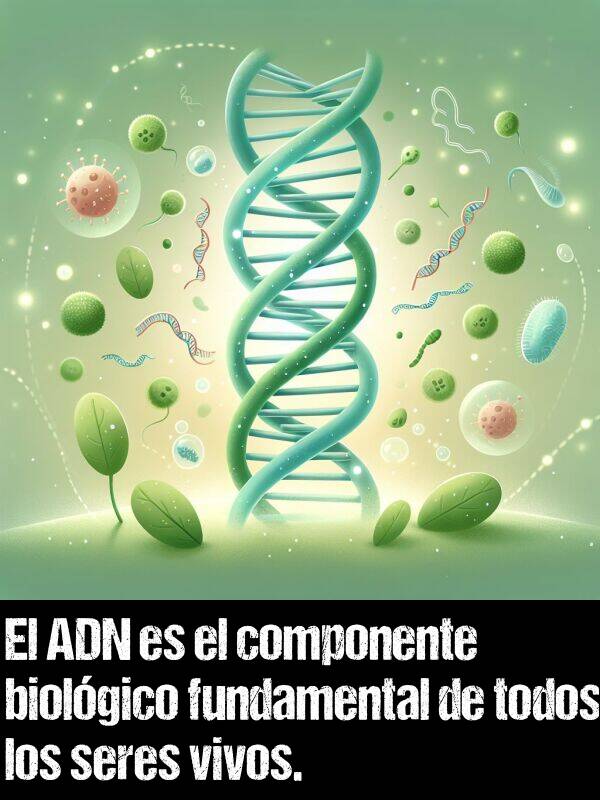 vivos: El ADN es el componente biolgico fundamental de todos los seres vivos.