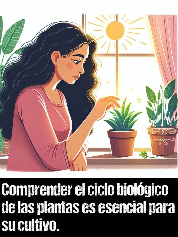 plantas: Comprender el ciclo biolgico de las plantas es esencial para su cultivo.