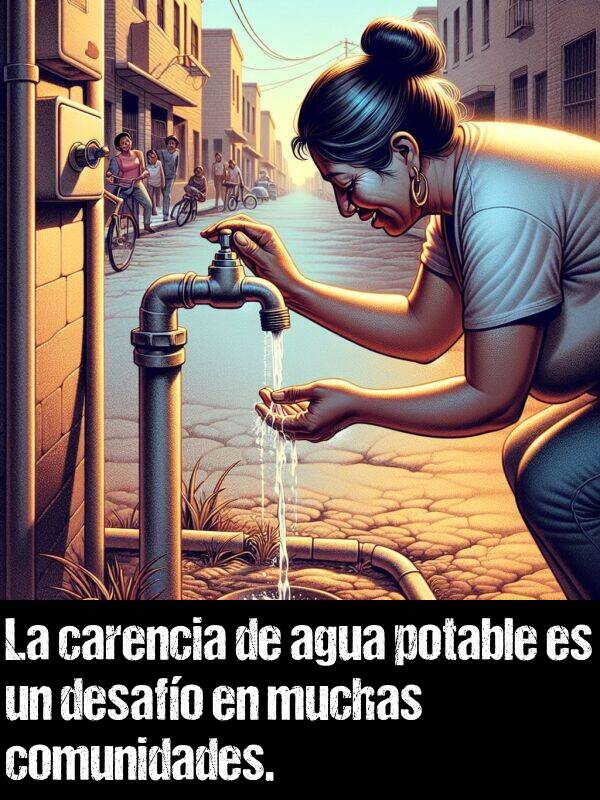 desafo: La carencia de agua potable es un desafo en muchas comunidades.