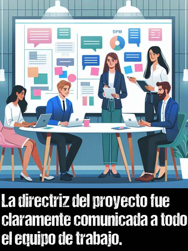 proyecto: La directriz del proyecto fue claramente comunicada a todo el equipo de trabajo.