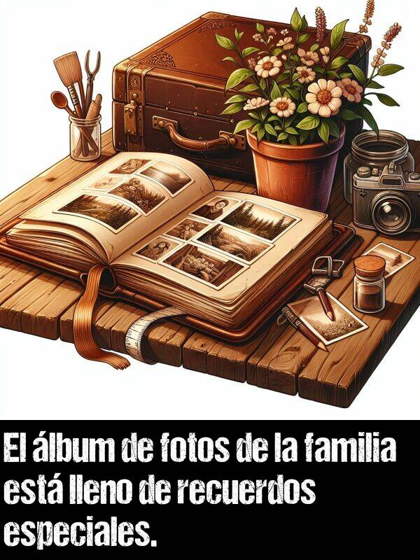 lbum: El lbum de fotos de la familia est lleno de recuerdos especiales.