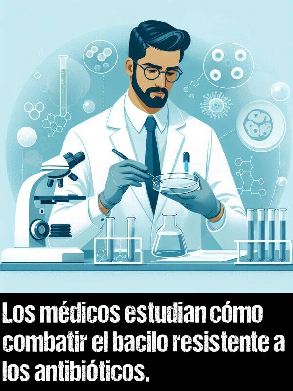 resistente: Los mdicos estudian cmo combatir el bacilo resistente a los antibiticos.