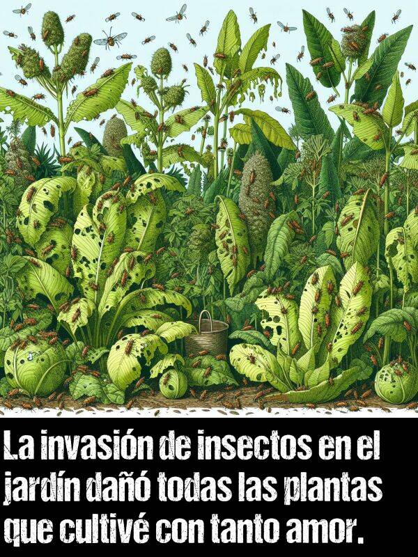 invasin: La invasin de insectos en el jardn da todas las plantas que cultiv con tanto amor.