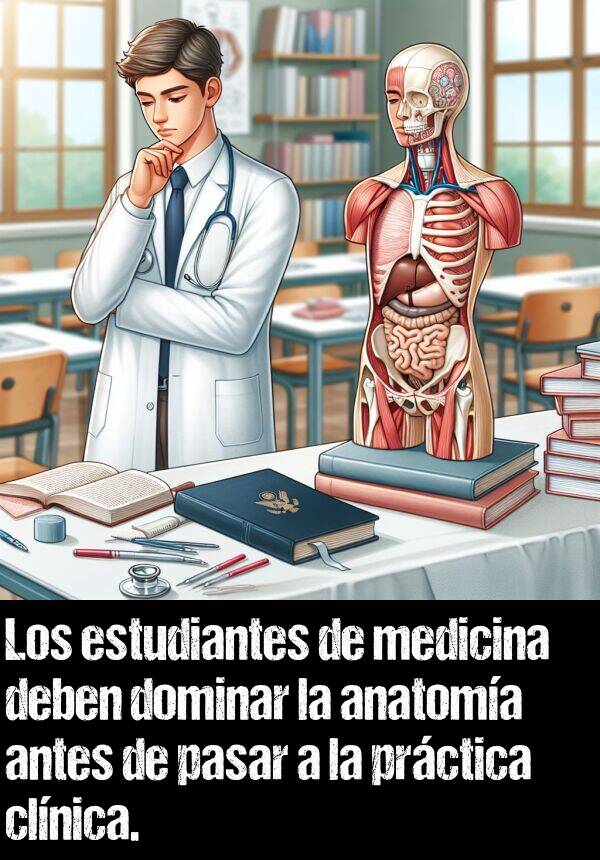 medicina: Los estudiantes de medicina deben dominar la anatoma antes de pasar a la prctica clnica.