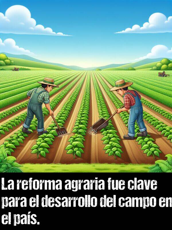 agrario: La reforma agraria fue clave para el desarrollo del campo en el pas.