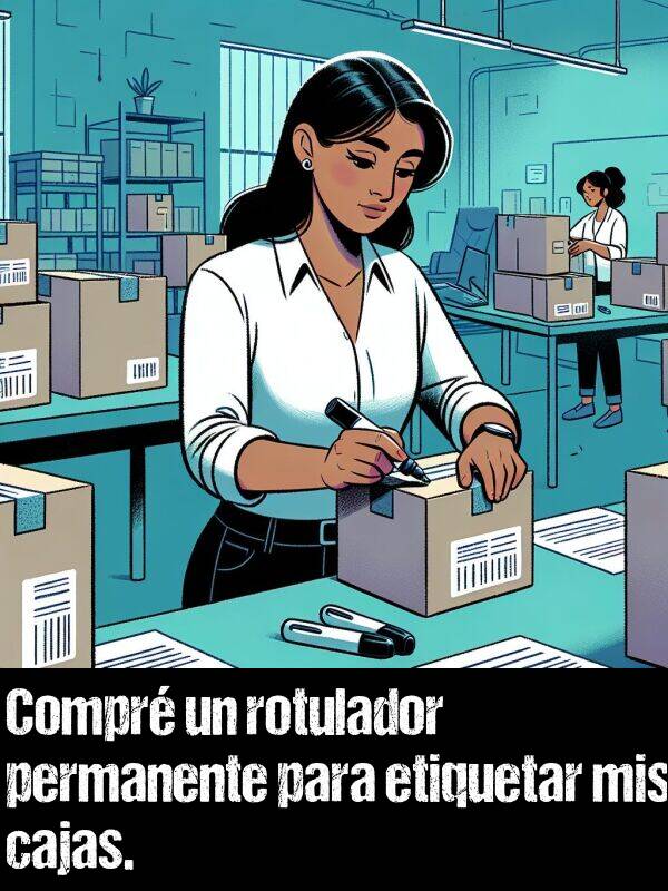 rotulador: Compr un rotulador permanente para etiquetar mis cajas.