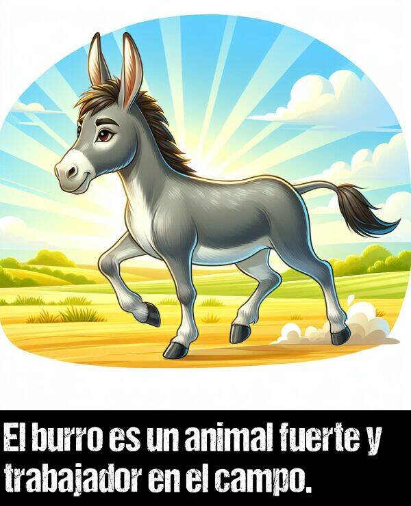 burro: El burro es un animal fuerte y trabajador en el campo.