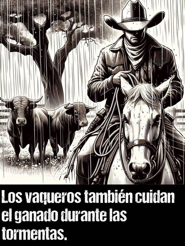 vaquero: Los vaqueros tambin cuidan el ganado durante las tormentas.