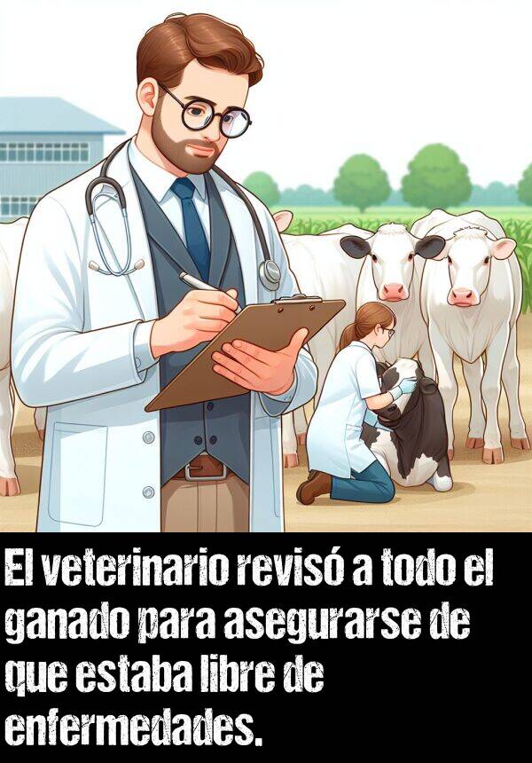 ganado: El veterinario revis a todo el ganado para asegurarse de que estaba libre de enfermedades.