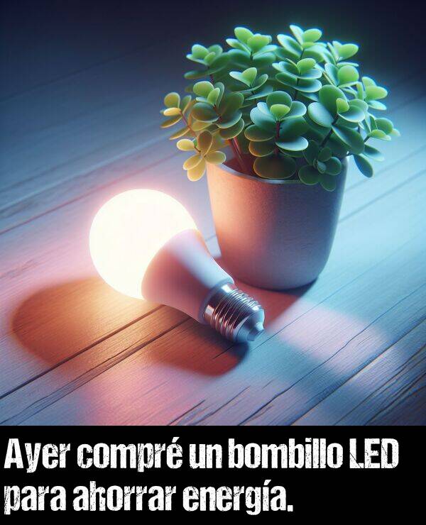 compr: Ayer compr un bombillo LED para ahorrar energa.