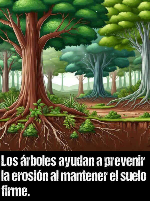 firme: Los rboles ayudan a prevenir la erosin al mantener el suelo firme.