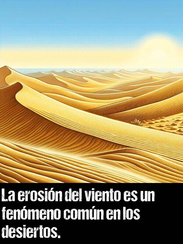 comn: La erosin del viento es un fenmeno comn en los desiertos.