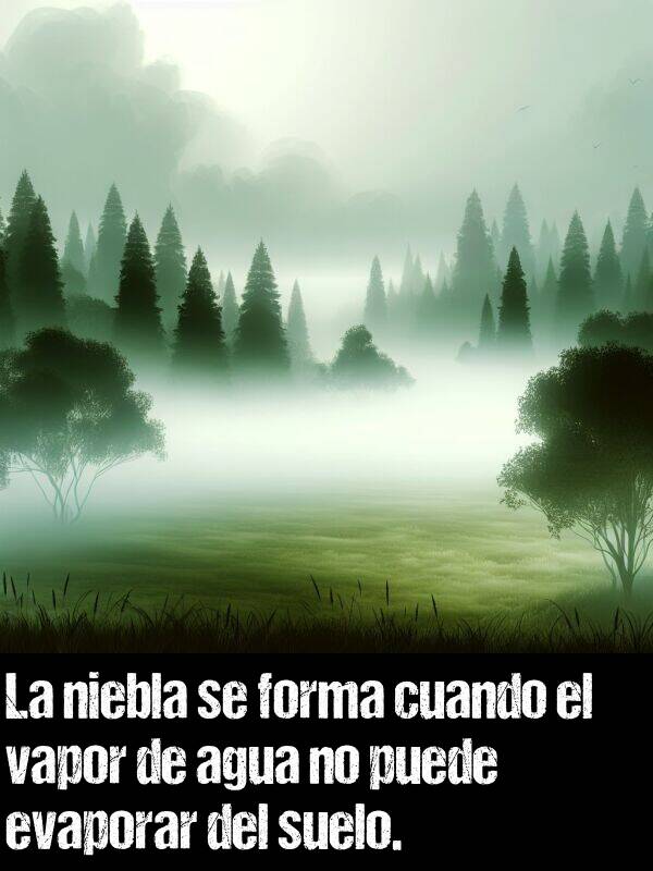 vapor: La niebla se forma cuando el vapor de agua no puede evaporar del suelo.