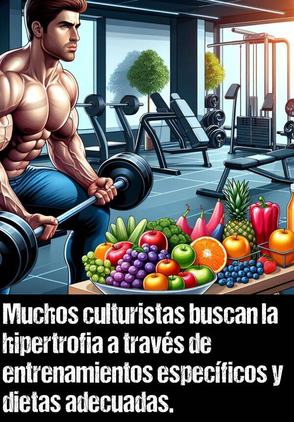 entrenamientos: Muchos culturistas buscan la hipertrofia a travs de entrenamientos especficos y dietas adecuadas.