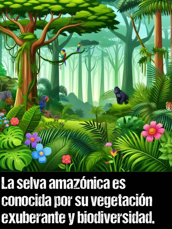 conocida: La selva amaznica es conocida por su vegetacin exuberante y biodiversidad.