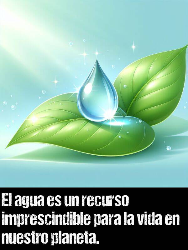 imprescindible: El agua es un recurso imprescindible para la vida en nuestro planeta.