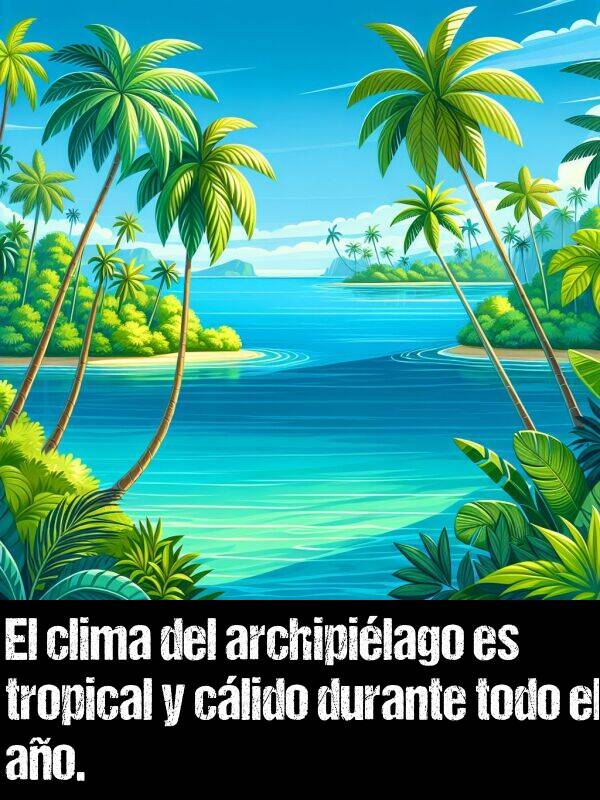 tropical: El clima del archipilago es tropical y clido durante todo el ao.