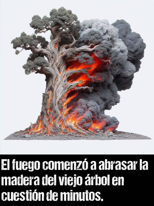 abrasar: El fuego comenz a abrasar la madera del viejo rbol en cuestin de minutos.