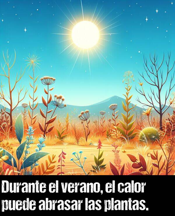 abrasar: Durante el verano, el calor puede abrasar las plantas.