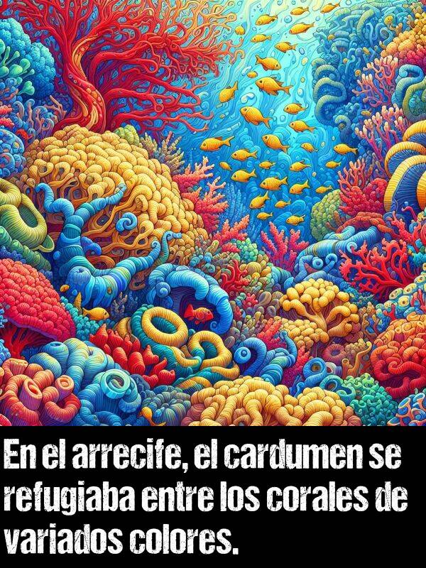 variados: En el arrecife, el cardumen se refugiaba entre los corales de variados colores.