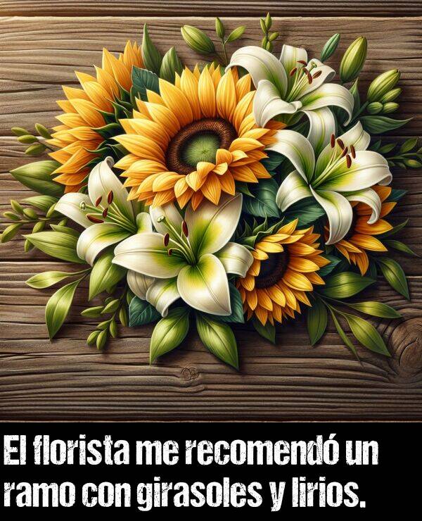 girasoles: El florista me recomend un ramo con girasoles y lirios.