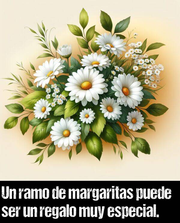 margarita: Un ramo de margaritas puede ser un regalo muy especial.