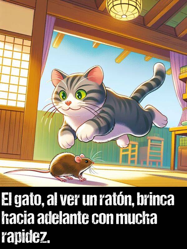 ratn: El gato, al ver un ratn, brinca hacia adelante con mucha rapidez.